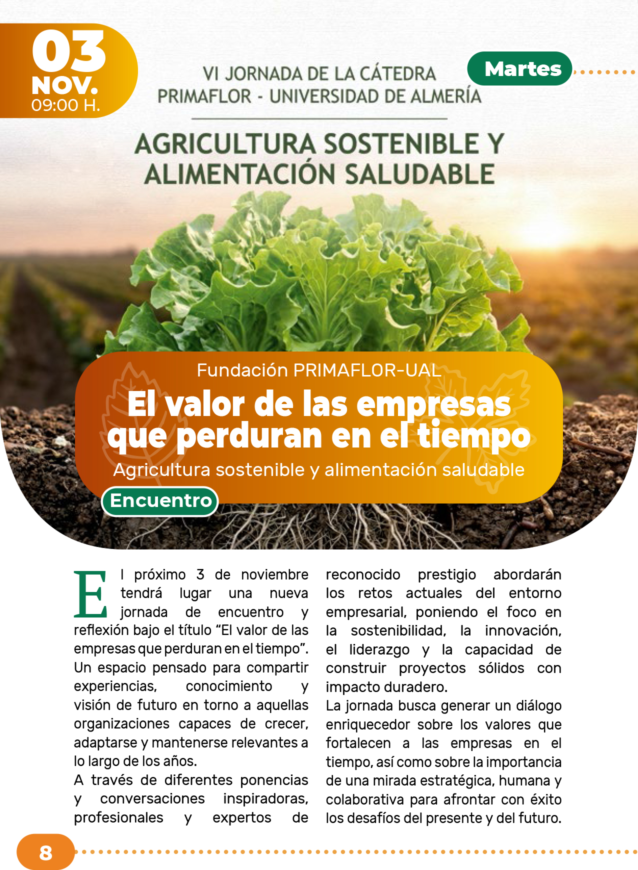 Ver imagen